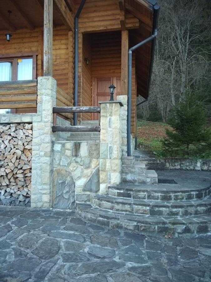 На Полумистому Villa Mykulychyn Ngoại thất bức ảnh